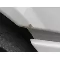 FREIGHTLINER CASCADIA 113 2008-2020 HOOD thumbnail 3