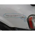 FREIGHTLINER CASCADIA 113 2008-2020 HOOD thumbnail 3