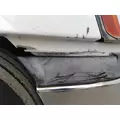 FREIGHTLINER CASCADIA 113 2008-2020 HOOD thumbnail 4