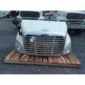 FREIGHTLINER CASCADIA 113 2008-2020 HOOD thumbnail 1