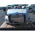 FREIGHTLINER CASCADIA 113 2008-2020 HOOD thumbnail 1