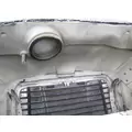 FREIGHTLINER CASCADIA 113 2008-2020 HOOD thumbnail 10