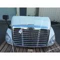 FREIGHTLINER CASCADIA 113 2008-2020 HOOD thumbnail 12