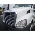 FREIGHTLINER CASCADIA 113 2008-2020 HOOD thumbnail 3