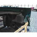 FREIGHTLINER CASCADIA 113 2008-2020 HOOD thumbnail 6