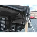 FREIGHTLINER CASCADIA 113 2008-2020 HOOD thumbnail 7