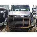 FREIGHTLINER CASCADIA 113 2008-2020 HOOD thumbnail 6