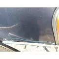 FREIGHTLINER CASCADIA 113 2008-2020 HOOD thumbnail 8