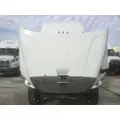 FREIGHTLINER CASCADIA 113 2008-2020 HOOD thumbnail 4