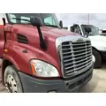 FREIGHTLINER CASCADIA 113 2008-2020 HOOD thumbnail 1