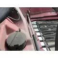 FREIGHTLINER CASCADIA 113 2008-2020 HOOD thumbnail 10