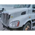 FREIGHTLINER CASCADIA 113 2008-2020 HOOD thumbnail 1