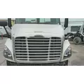 FREIGHTLINER CASCADIA 113 2008-2020 HOOD thumbnail 2