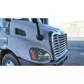 FREIGHTLINER CASCADIA 113 2008-2020 HOOD thumbnail 1