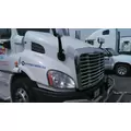 FREIGHTLINER CASCADIA 113 2008-2020 HOOD thumbnail 3