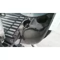 FREIGHTLINER CASCADIA 113 2008-2020 HOOD thumbnail 9