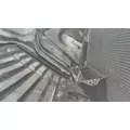 FREIGHTLINER CASCADIA 113 2008-2020 HOOD thumbnail 4