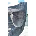 FREIGHTLINER CASCADIA 113 2008-2020 HOOD thumbnail 4