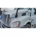 FREIGHTLINER CASCADIA 113 2008-2020 HOOD thumbnail 2