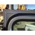 FREIGHTLINER CASCADIA 113 2018UP DOOR ASSEMBLY, FRONT thumbnail 7