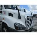 FREIGHTLINER CASCADIA 113 2018UP HOOD thumbnail 3