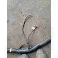 FREIGHTLINER CASCADIA 113BBC Body Wiring Harness thumbnail 5