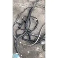 FREIGHTLINER CASCADIA 113BBC Body Wiring Harness thumbnail 4