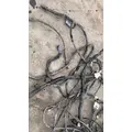 FREIGHTLINER CASCADIA 113BBC Body Wiring Harness thumbnail 5
