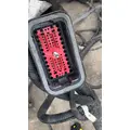 FREIGHTLINER CASCADIA 113BBC Body Wiring Harness thumbnail 8