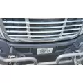 FREIGHTLINER CASCADIA 113 BUMPER ASSEMBLY, FRONT thumbnail 1