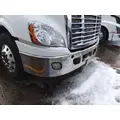 FREIGHTLINER CASCADIA 113 BUMPER ASSEMBLY, FRONT thumbnail 4
