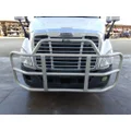 FREIGHTLINER CASCADIA 113 BUMPER BRUSH GUARD thumbnail 1