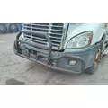 FREIGHTLINER CASCADIA 113 BUMPER BRUSH GUARD thumbnail 1