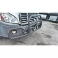FREIGHTLINER CASCADIA 113 BUMPER BRUSH GUARD thumbnail 3