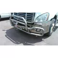 FREIGHTLINER CASCADIA 113 BUMPER BRUSH GUARD thumbnail 2