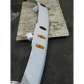 FREIGHTLINER CASCADIA 113 CAB CLIP thumbnail 4
