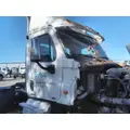 FREIGHTLINER CASCADIA 113 CAB thumbnail 2