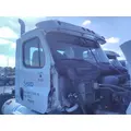 FREIGHTLINER CASCADIA 113 CAB thumbnail 2