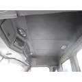 FREIGHTLINER CASCADIA 113 CAB thumbnail 19