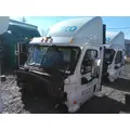 FREIGHTLINER CASCADIA 113 CAB thumbnail 1