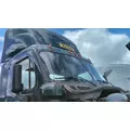 FREIGHTLINER CASCADIA 113 CAB thumbnail 11