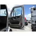 FREIGHTLINER CASCADIA 113 DOOR ASSEMBLY, FRONT thumbnail 1