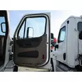 FREIGHTLINER CASCADIA 113 DOOR ASSEMBLY, FRONT thumbnail 1