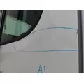 FREIGHTLINER CASCADIA 113 DOOR ASSEMBLY, FRONT thumbnail 2