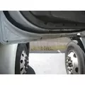 FREIGHTLINER CASCADIA 113 DOOR ASSEMBLY, FRONT thumbnail 3