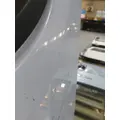 FREIGHTLINER CASCADIA 113 DOOR ASSEMBLY, FRONT thumbnail 7