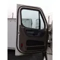 FREIGHTLINER CASCADIA 113 DOOR ASSEMBLY, FRONT thumbnail 2