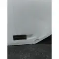 FREIGHTLINER CASCADIA 113 DOOR ASSEMBLY, FRONT thumbnail 9