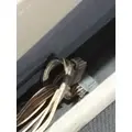 FREIGHTLINER CASCADIA 113 DOOR ASSEMBLY, FRONT thumbnail 7