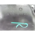FREIGHTLINER CASCADIA 113 DOOR HANDLE thumbnail 2